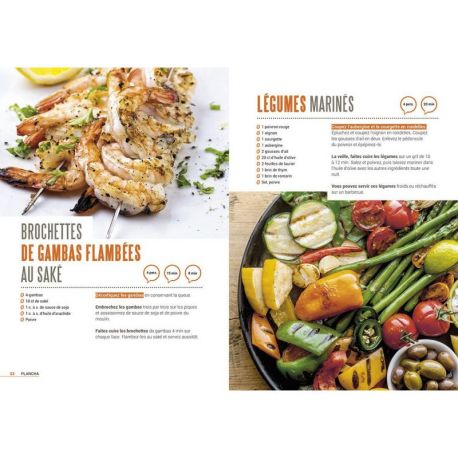 500 RECETTES PLANCHA BARBECUE ET AUTRES SPECIALITES ESTIVALES