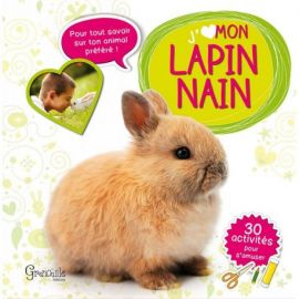 MON LAPIN NAIN