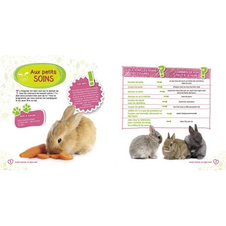 MON LAPIN NAIN