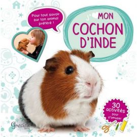 MON COCHON D'INDE