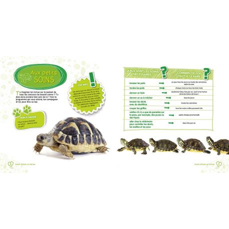 MA TORTUE