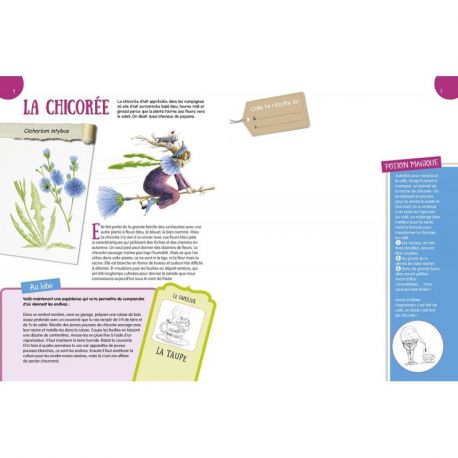 L'HERBIER DES APPRENTIS SORCIERS