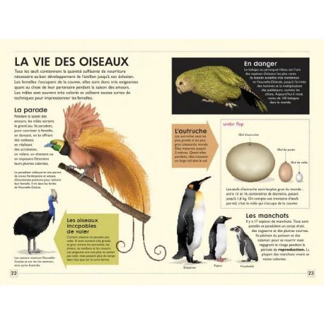 LE REGNE ANIMAL