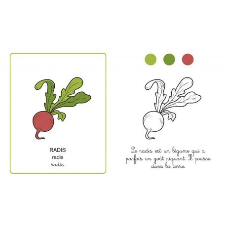 FRUITS ET LEGUMES MON IMAGIER A COLORIER