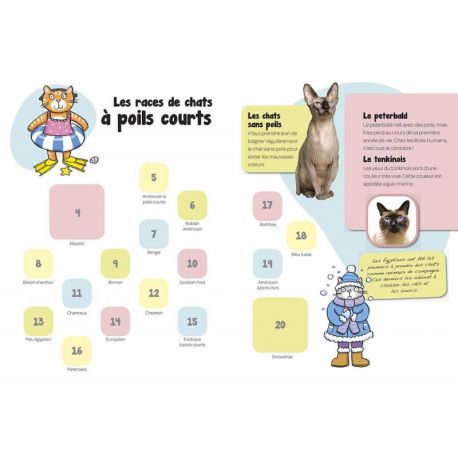 LES CHATS COLLE LES ANIMAUX