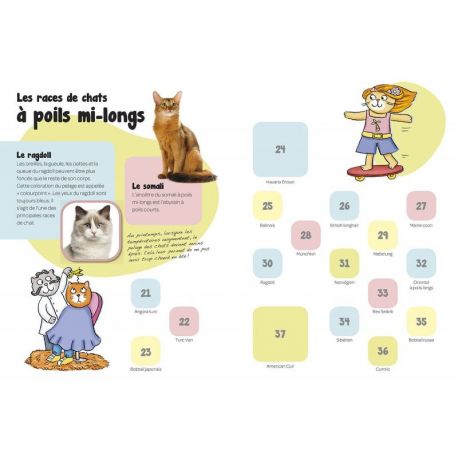 LES CHATS COLLE LES ANIMAUX