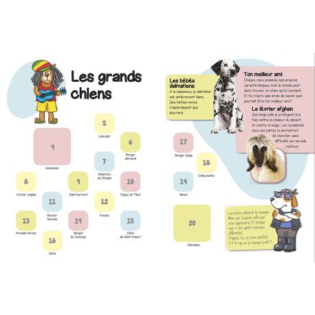 LES CHIENS COLLE LES ANIMAUX