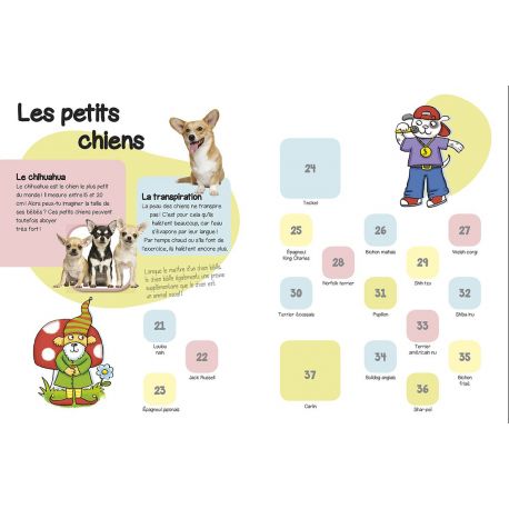 LES CHIENS COLLE LES ANIMAUX