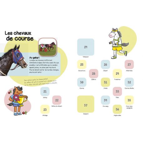 LES CHEVAUX COLLE LES ANIMAUX