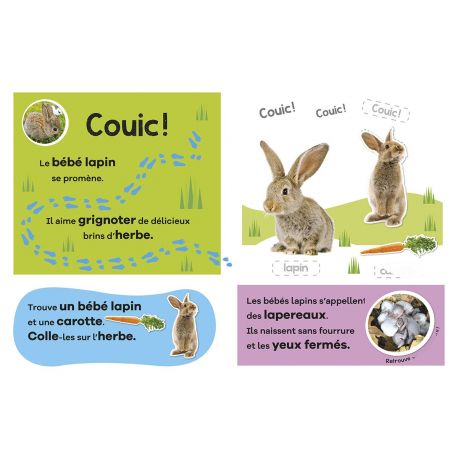 OUAF ! LES BEBES ANIMAUX