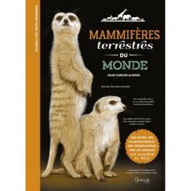 MAMMIFERES TERRESTRES DU MONDE