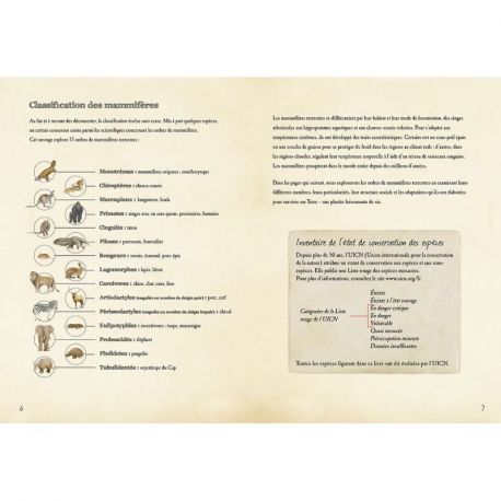 MAMMIFERES TERRESTRES DU MONDE