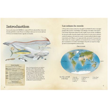 ANIMAUX MARINS DU MONDE