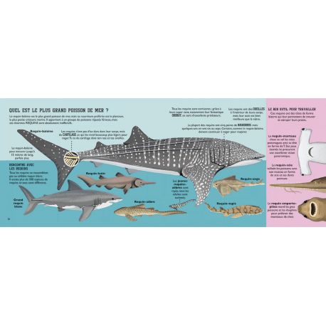 LE LIVRE DE LA MER