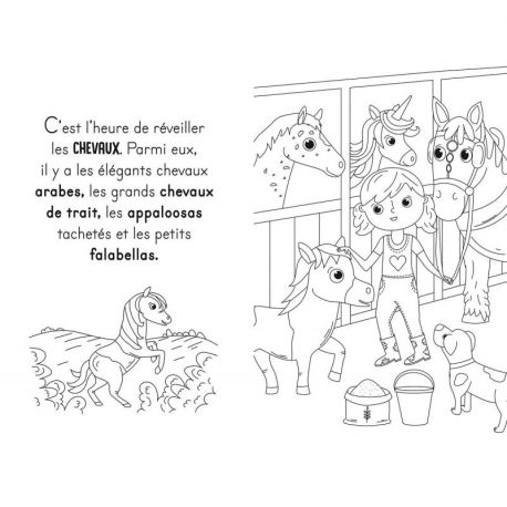 LES CHEVAUX & LES LICORNES
