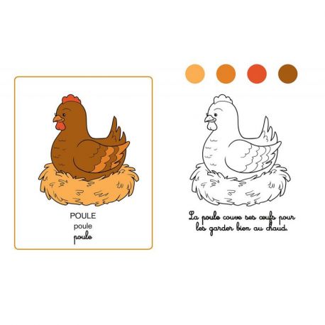 FERME MON IMAGIER A COLORIER