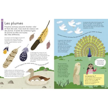 LES OISEAUX