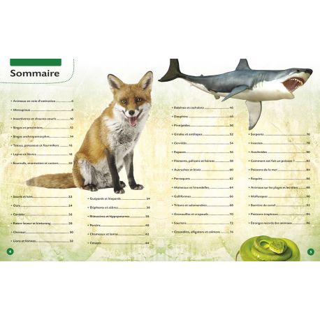 MON ENCYCLOPEDIE DES ANIMAUX
