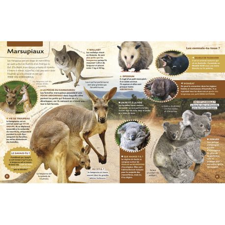 MON ENCYCLOPEDIE DES ANIMAUX