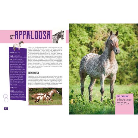MA PETITE ENCYCLO DU CHEVAL