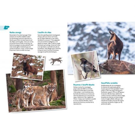 LES ANIMAUX DE MONTAGNE