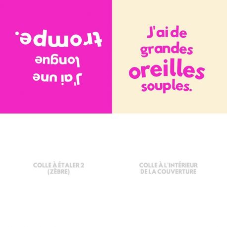 QU'EST CE QUE C'EST ? - SAFARI