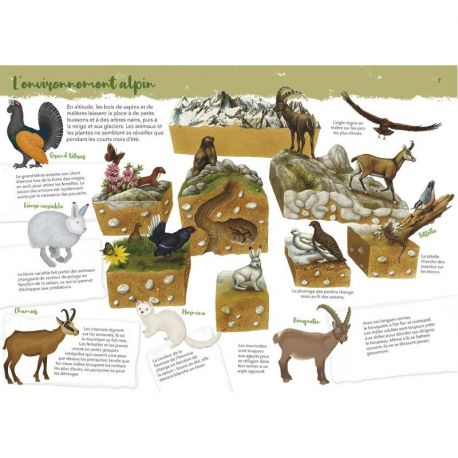 TOUT SAVOIR SUR LA VIE DES ANIMAUX ET LEUR LIEU DE VIE