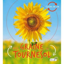 DE LA GRAINE AU TOURNESOL