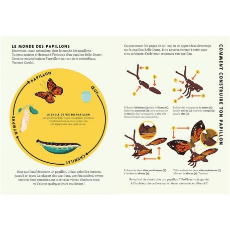 CONSTRUIS UN PAPILLON