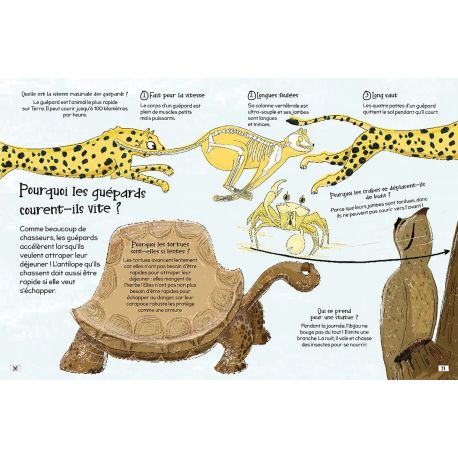 LES ANIMAUX - DROLES DE QUESTIONS & REPONSES