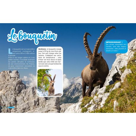ANIMAUX DE MONTAGNE  - DECOUVRE LE MONDE EN PHOTOS