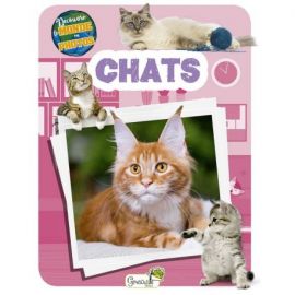 CHATS - DECOUVRE LE MONDE EN PHOTOS