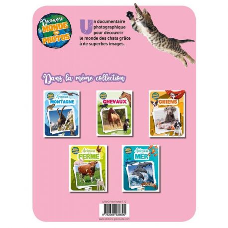 CHATS - DECOUVRE LE MONDE EN PHOTOS