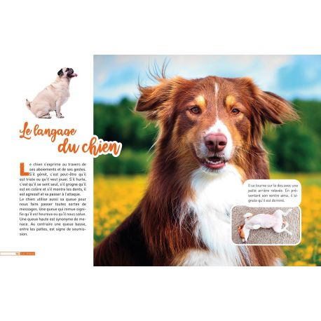 CHIENS - DECOUVRE LE MONDE EN PHOTOS