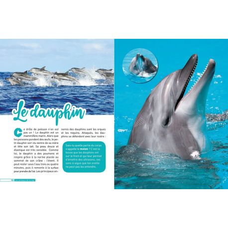 ANIMAUX DE LA MER - DECOUVRE LE MONDE EN PHOTOS