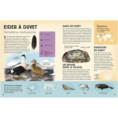 HISTOIRES DE PLUMES