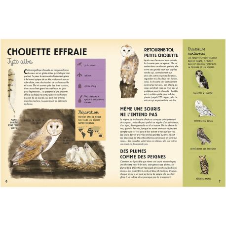 HISTOIRES DE PLUMES