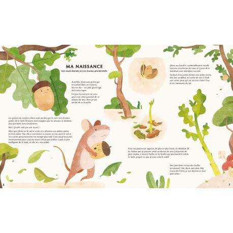 LA VIE SECRETE DES ARBRES