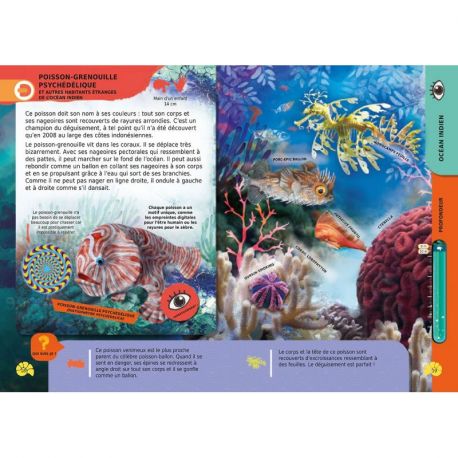 DECOUVRE LES OCEANS EN 4D