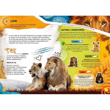 DECOUVRE LES ANIMAUX EN 4D