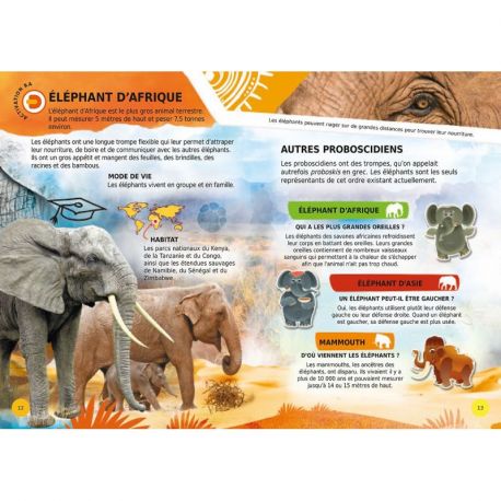 DECOUVRE LES ANIMAUX EN 4D