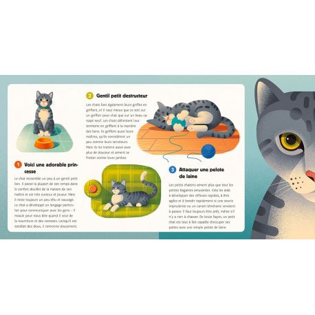 LES ANIMAUX SAUVAGES & DOMESTIQUES
