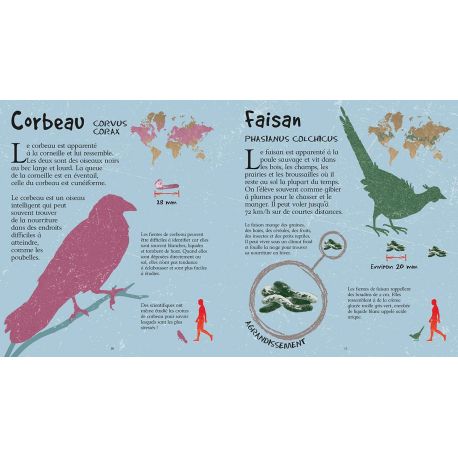 LES CROTTES DES ANIMAUX GRANDEUR NATURE