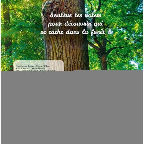 FORET - CACHE CACHE DANS LA NATURE