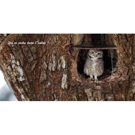 FORET - CACHE CACHE DANS LA NATURE
