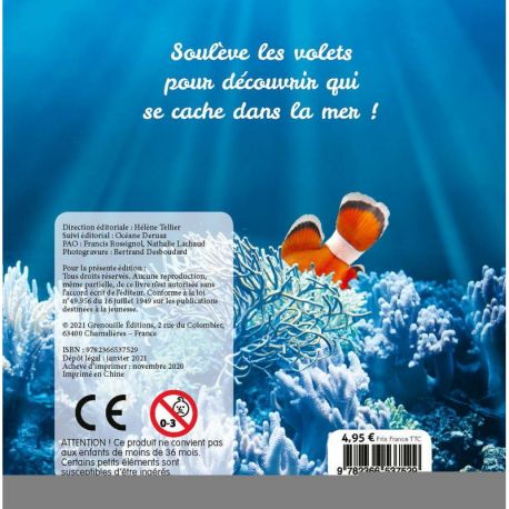MER - CACHE CACHE DANS LA NATURE