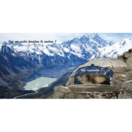 MONTAGNE - CACHE CACHE DANS LA NATURE