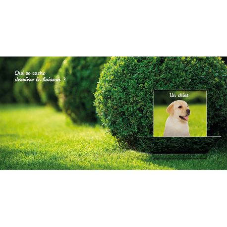 BEBES ANIMAUX - CACHE CACHE DANS LA NATURE