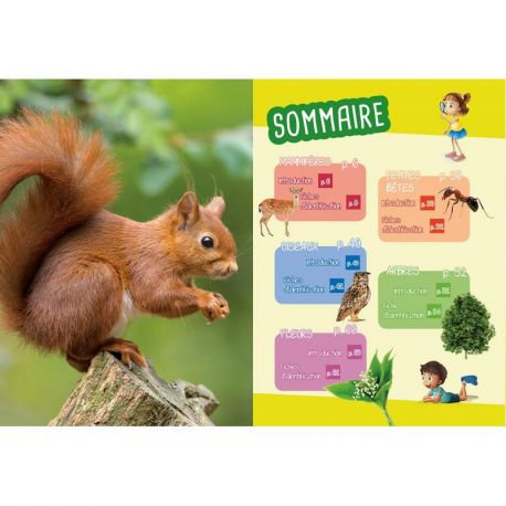 PETITES BETES ET PLANTES DES BOIS