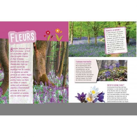 PETITES BETES ET PLANTES DES BOIS